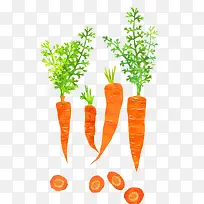 蔬菜-空若网 蔬菜-空若网