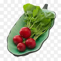 Âܲ·-¿ÕÈôÍø Âܲ·-¿ÕÈôÍø