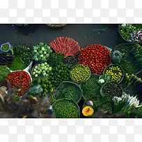 各种绿色水果蔬菜-空若网 各种绿色水果蔬菜-空若网