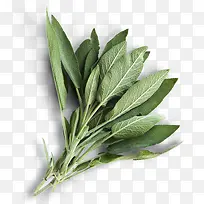 绿色蔬菜图片-空若网 绿色蔬菜图片-空若网