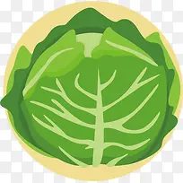 包菜图案-空若网 包菜图案-空若网