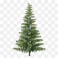 ��ɫ�� png�ز�-������