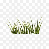 ��ͨ��ɫ�� png�ز�-������