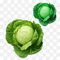 绿色蔬菜-空若网 绿色蔬菜-空若网