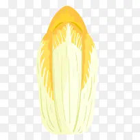 手绘的白菜-空若网 手绘的白菜-空若网