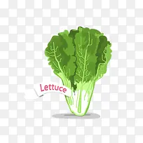 白菜卡通矢量素材-空若网 白菜卡通矢量素材-空若网