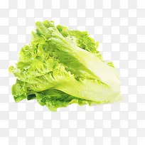 白菜-空若网 白菜-空若网