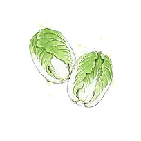 �߲��ֻ�-������