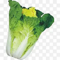 白菜蔬菜青菜-空若网 白菜蔬菜青菜-空若网