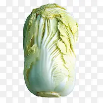 白色蔬菜-空若网 白色蔬菜-空若网