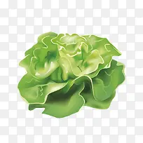 蔬菜-空若网 蔬菜-空若网