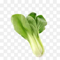 小白菜产品实物-空若网 小白菜产品实物-空若网