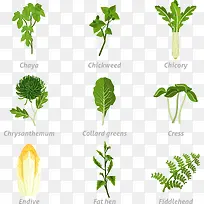 矢量手绘蔬菜-空若网 矢量手绘蔬菜-空若网