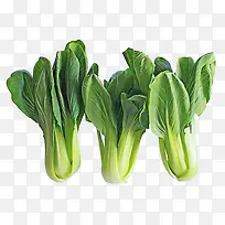 蔬菜-空若网 蔬菜-空若网