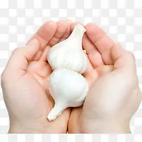 手捧蒜头-空若网 手捧蒜头-空若网