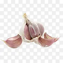 手绘高清创意蔬菜大蒜-空若网 手绘高清创意蔬菜大蒜-空若网