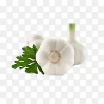 食物绿叶大蒜设计-空若网 食物绿叶大蒜设计-空若网