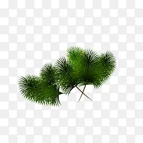 ����ʥ����ʥ������֦-������