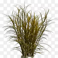 �ݹ����Բ�-������