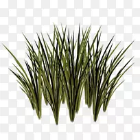 动画草本植物剪贴画-草-空若网 动画草本植物剪贴画-草-空若网