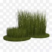 ����ݲݱ�ֲ���-������