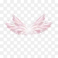 翅膀-空若网 翅膀-空若网