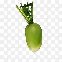 �����߲��ܲ�-������