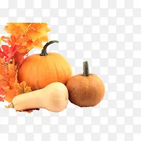 生鲜蔬菜-空若网 生鲜蔬菜-空若网