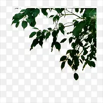 ����-������