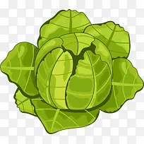 矢量蔬菜花菜-空若网 矢量蔬菜花菜-空若网