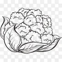 Êß²Ë-¿ÕÈôÍø Êß²Ë-¿ÕÈôÍø