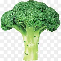 蔬菜-空若网 蔬菜-空若网