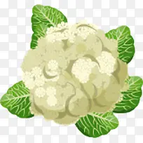 绿色蔬菜-空若网 绿色蔬菜-空若网