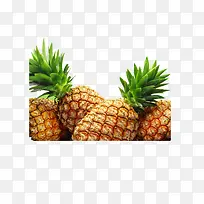 菠萝-空若网 菠萝-空若网