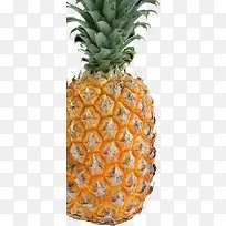 水果-空若网 水果-空若网