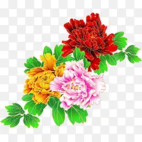 ��Ӱ���ջ����Ч��-������