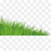 ÂÌɫС²Ý-¿ÕÈôÍø ÂÌɫС²Ý-¿ÕÈôÍø