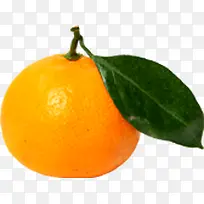 黄色水果橘子效果-空若网 黄色水果橘子效果-空若网