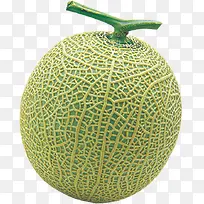 夏日水果哈密瓜效果-空若网 夏日水果哈密瓜效果-空若网