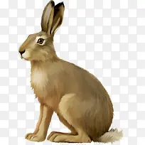 矢量卡通兔子-空若网 矢量卡通兔子-空若网