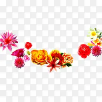 彩色花朵植物手绘-空若网 彩色花朵植物手绘-空若网