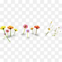 ��ɫ�廭��������-������