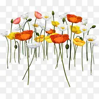 彩色创意插画花朵-空若网 彩色创意插画花朵-空若网