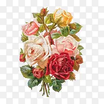 彩色温馨花朵手绘-空若网 彩色温馨花朵手绘-空若网