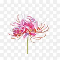 ��ɫѤ�������ֻ�-������