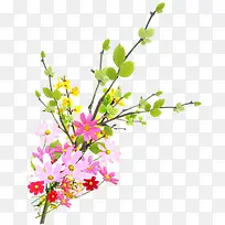 ��ɫ������֦װ��-������