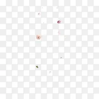 各种彩色小花朵-空若网 各种彩色小花朵-空若网