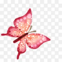 ����-������