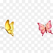 蝴蝶-空若网 蝴蝶-空若网