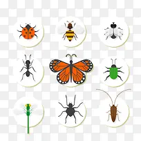 卡通昆虫-空若网 卡通昆虫-空若网